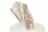 Pink Tourmaline (Rubellite) in Quartz - Brazil #257911-1